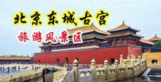 东北美女被大鸡吧肏中国北京-东城古宫旅游风景区